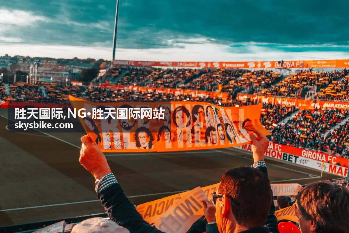 胜天国际,NG·胜天国际网站 首页氛围背景