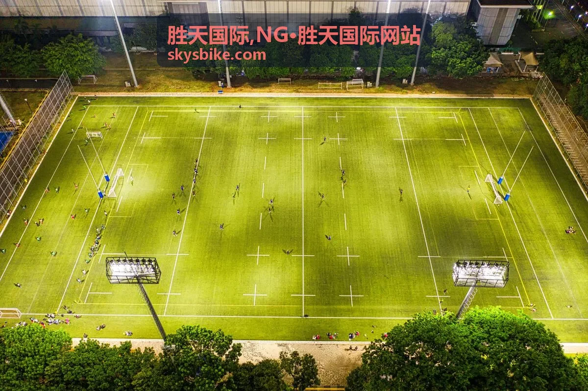 胜天国际,NG·胜天国际网站 官方内容图